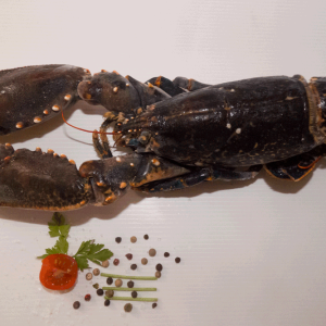 Bogavante